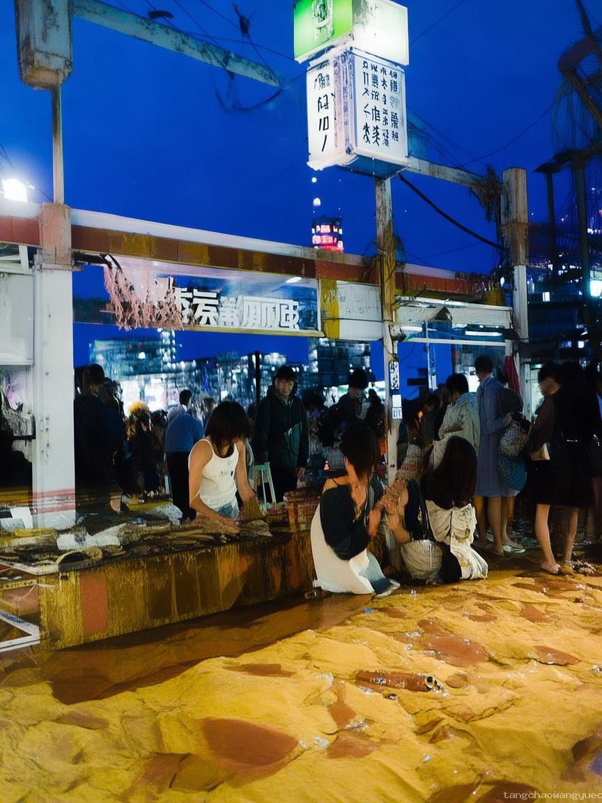 导游误导事件引热议：雨果并未下令烧圆明园